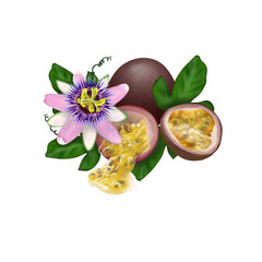 Passion fruit isolated on transparent background. Fruit illustration PNG. Pictures of food and fruits