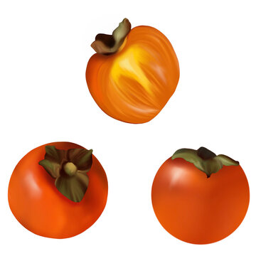 Persimmon isolated on transparent background. PNG fruit illustration. Clip art of food and fruits	