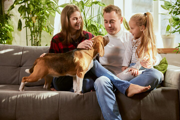 Lovely young family, mother, father and daughter sitting on sofa, playing with dog in living roon on sunny day at home. Concept of relationship, family, parenthood, childhood, animal life