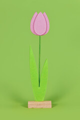 Pink felt tulip flower on green background