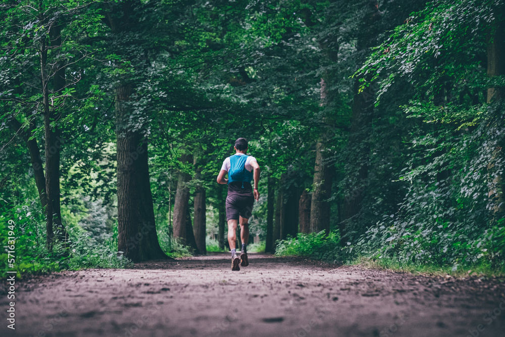 Wall mural man running on the trails
