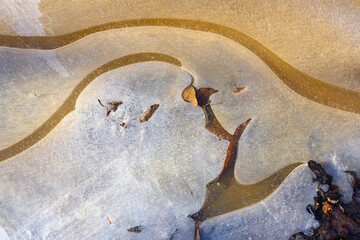 Obraz premium Eisfläche, Details, gefrorener Teich