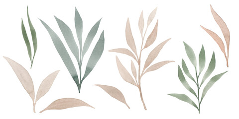 Watercolor illustration, a set of isolated, texture twigs with green and beige leaves, on a white background. Drawn by hand for design and design.