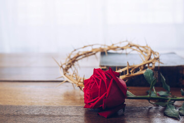 Close up of the red rose on wooden table with the crown of thorns on an old open bible  and blurred...