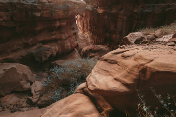 Rocks in the desert Wadi Rum