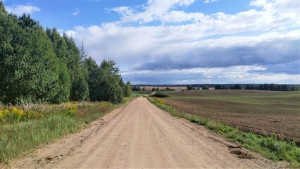 Fototapeta na wymiar The country road runs along a deciduous forest and a harvested field. There is grass growing on the side of the road and Canadian goldenrod blooming. Farther away stands a village. Blue sky