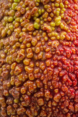 Hass avocado skin structure closeup.