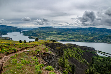 Grassy Hillside Springtime Flower Bloom at Coyote Wall Overlooking the Columbia River Gorge in Oregon & Washington