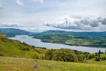 Grassy Hillside at Coyote Wall Overlooking the Columbia River Gorge in Oregon & Washington