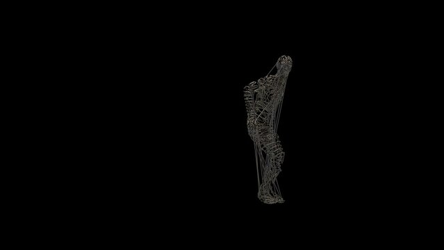 Wired Art Mannequin Dancing 3D Animation With Alpha Video