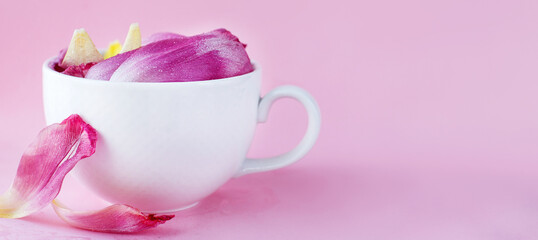 Fototapeta na wymiar white cup full of fresh flowers petals of tulips on a pink background. banner