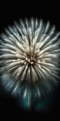 Beautiful white firework in close up isolation on a dark background. Generative AI