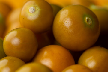 Close-up and variable focus of kernels from cape gooseberry fruit growing in Egypt