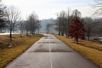 Fototapeta na wymiar The long pathway at the lake on a foggy sunny morning.