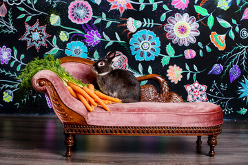 the rabbit sits in a festive easter decor on the sofa. Bright colors. Fresh carrots with herbs