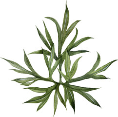 Watercolor Hand Drawn Green Leaves Illustration 