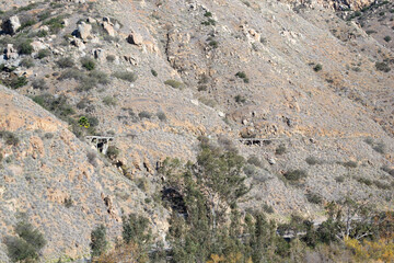 Vast mountain landscape nature plants