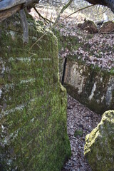 Eyewitnesses Wrecked Wehrmacht bunker Ruins of an old position in the forest