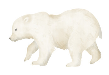 Little white Bear Cub on isolated background. Hand drawn watercolor illustration of baby animal for ecological logo or zoology drawings. Young northern mammal predator. Character in pastel colors