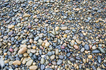 Colorful wet stones on the beach shore 