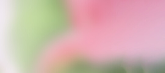 Banner. Green and pink blurred background. gradient, vertical.