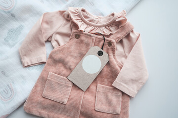 Cute baby pink dress with craft tag, space for your logo
