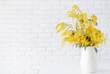 Blossom of Mimosa flower in white ceramic vase on white brick wall background with space for text