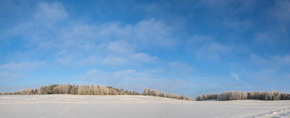 Obraz premium Landscape winter frosty sunny day, blue sky, trees covered with frost, Poland Europe