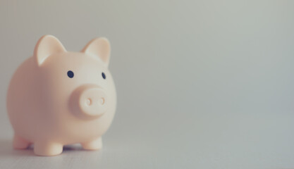 concept of savings, investment, piggy bank and space for work