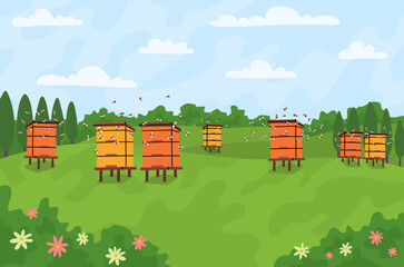 Cartoon Color Apiary with Bee Hives and Flying Honeybees Landscape Scene Concept Flat Design Style. Vector illustration