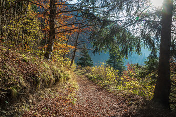 Paysage du massif des Bauges à l' automne , Alpes France
