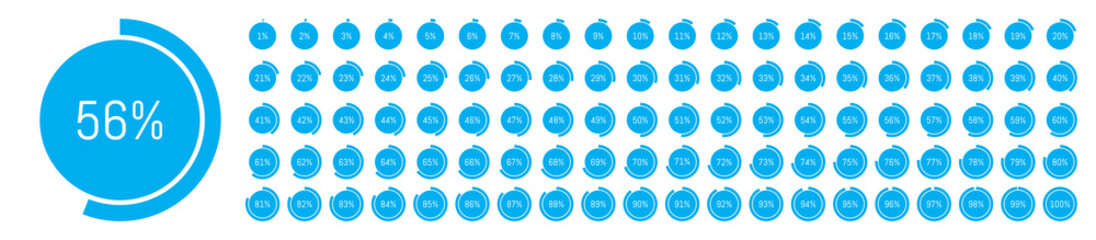 Percentage diagram icons. Pie chart. Progression from 1 to 100.