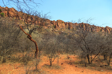Fototapeta premium Andersson Trail in Waterberg Plateau National Park, Kalahari, Otjiwarongo, Namibia, Africa.