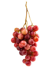 Ripe red grape isolated on transparent background. 