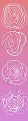 Pink to Purple Set of Roses Design