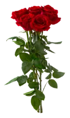 Foto op Aluminium Bouquet of red roses isolated on white background © alesikka