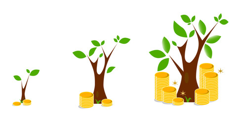 Stack of the tree that grows. Financial concepts and trees that are growing. Investing money and financial growth success concept. Growing plant in process, concept of planting.