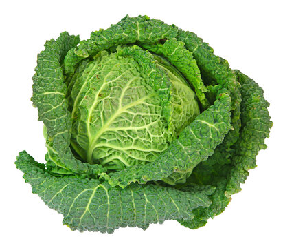 Chou vert fris&eacute;