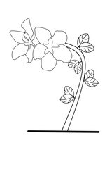 Line forming Apple flower with white background elements. Vector Illustration