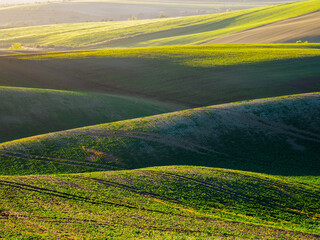 Obraz premium Spring farmland in the hills of Morvia in Czech Republic..