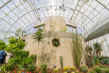 Interior view of the main building of Myriad Botanical Gardens