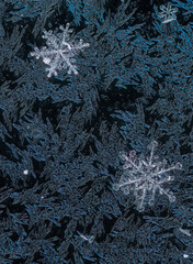 Details of snowflakes on a frozen car window. Snowflakes macro picture.