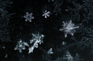 Details of snowflakes on a frozen car window. Snowflakes macro picture.