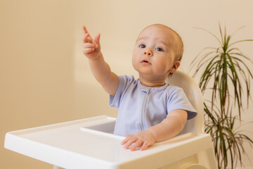 a cute baby is sitting in a baby chair at home in the kitchen. Baby food, space for text