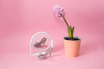 Pink hyacinth flower in pot. Reflection in the mirror shoes. Admire your beauty. High-heeled shoe. Still life