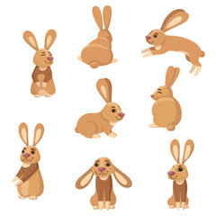 Bunny set. Bunny design print. Easter Bunny. Cute rabbits in various poses. Rabbit animal icon isolated on background.