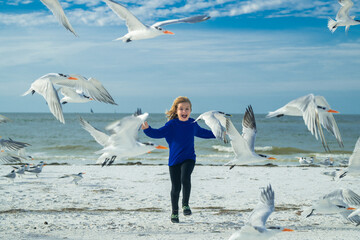 Kid playing in summer beach. Kid boy chasing birds near summer sea beach. Happy child playing with seagull birds outside on summer day.