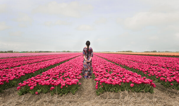 rear view of woman in floral dress standing in field of colorful pink tulips in spring in Dutch landscape