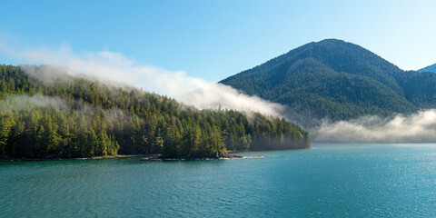 Pine and cedar forest panorama in mist, Inside Passage cruise between Prince Rupert and Port Hardy, Vancouver Island, British Columbia, Canada.