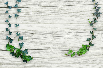 木目背景とグリーン